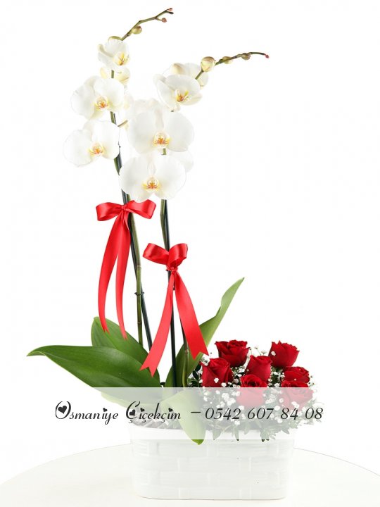 Çift Dal  Beyaz Orkide Ve  7 Gül