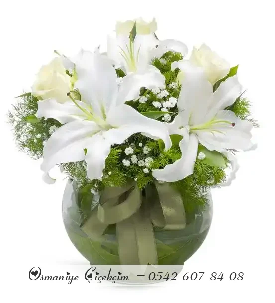 Bulutların Dansı Mis Kokulu Beyaz Lilyumlar