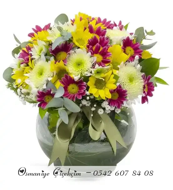 Cam Fanus Gökkuşağı Papatya Bahçesi