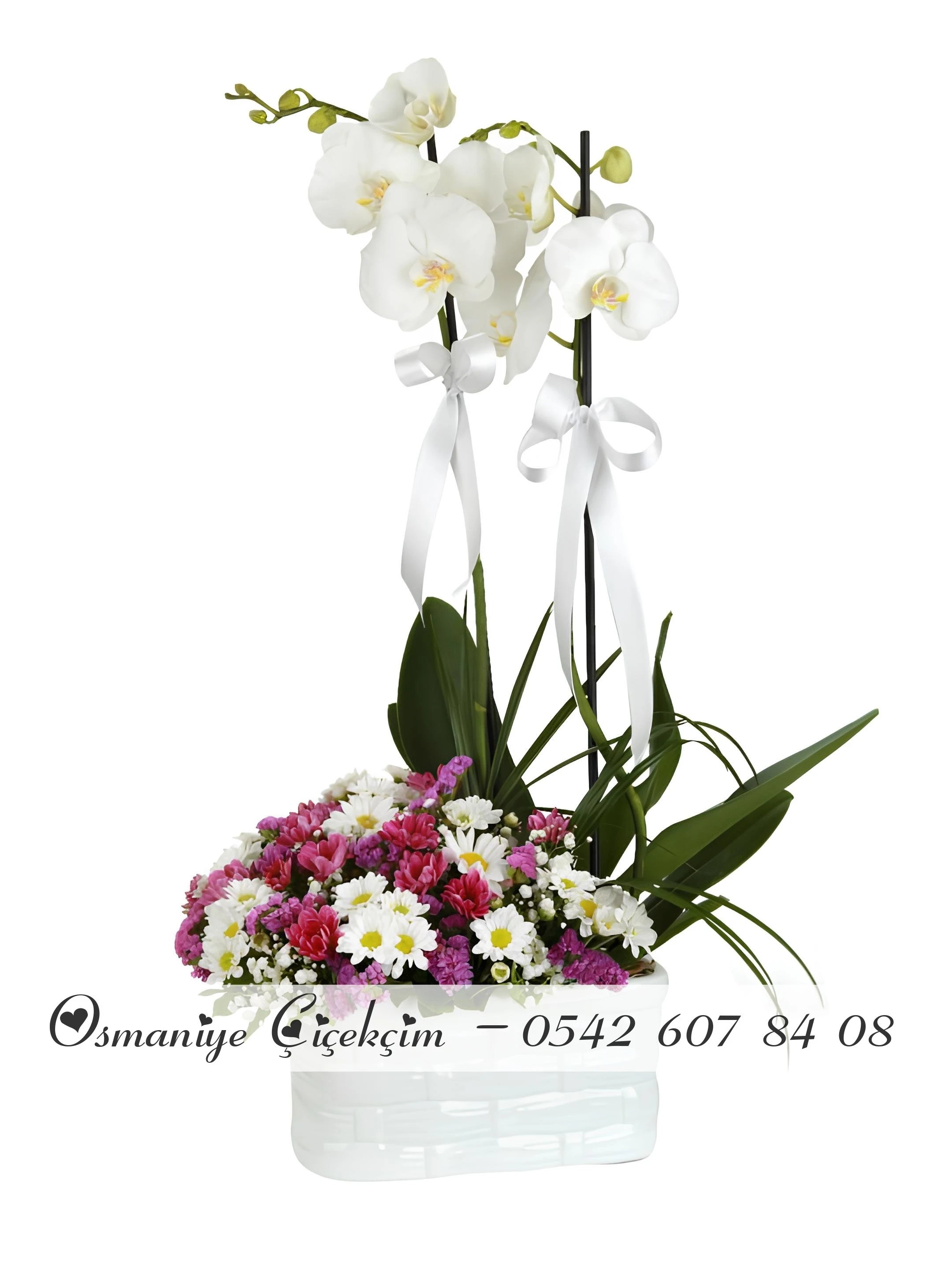 Çift Dal Orkideli Bahar Aranjmanı