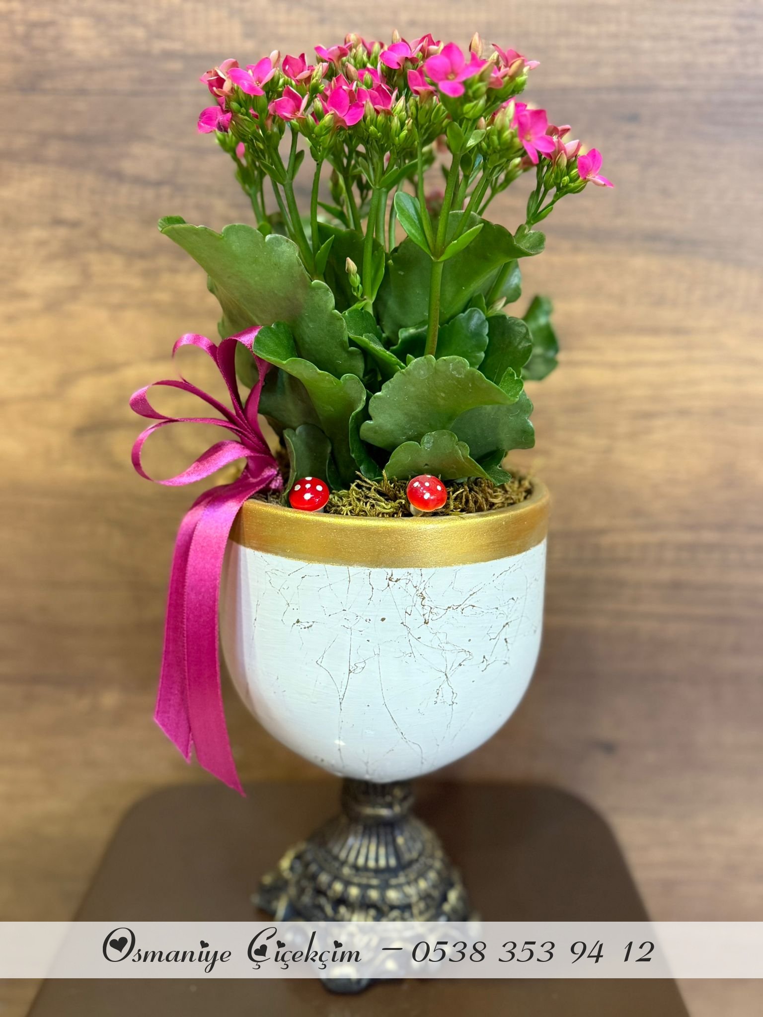 DEKORATİF AYAKLI BEYAZ SERAMİK İÇERİSİNDE PEMBE KALANCHOE