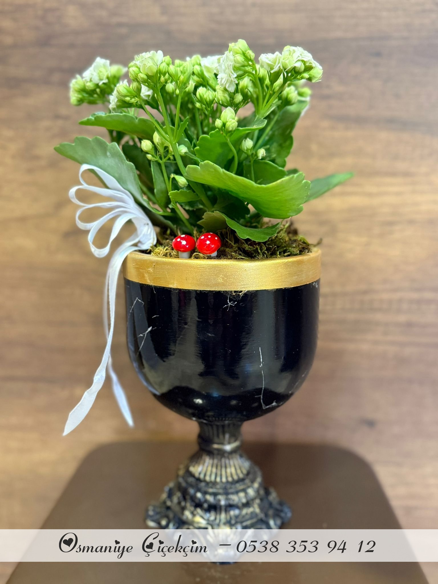 DEKORATİF AYAKLI SERAMİK İÇERİSİNDE BEYAZ KALANCHOE