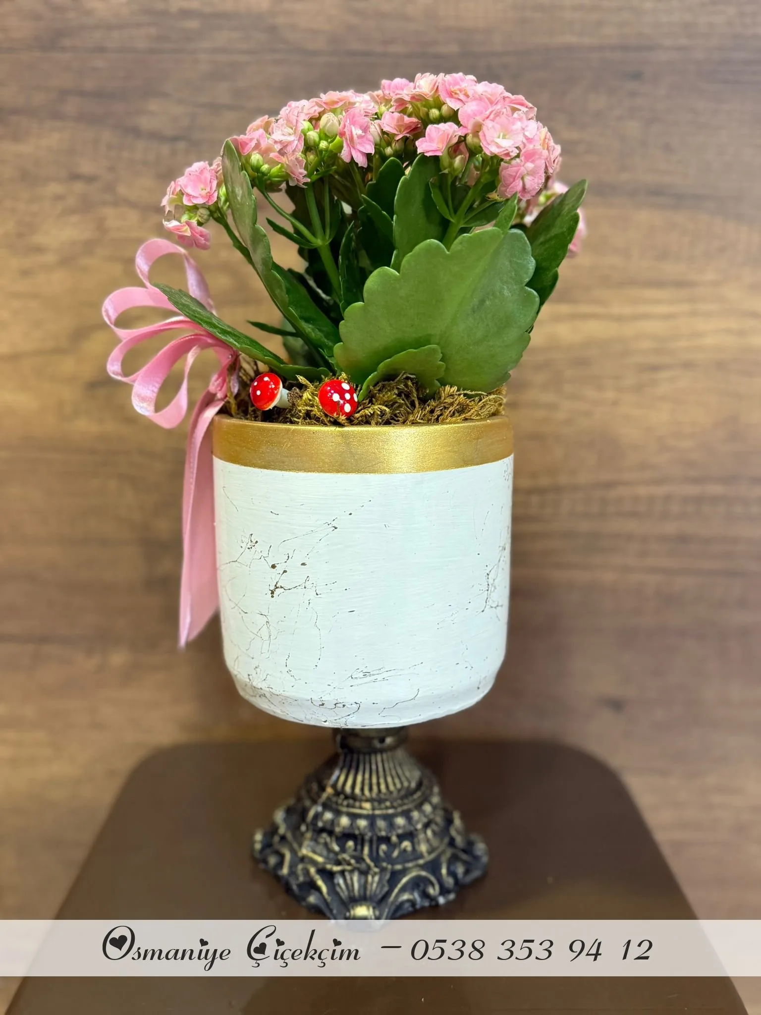 DEKORATİF AYAKLI SERAMİK İÇERİSİNDE PEMBE KALANCHOE