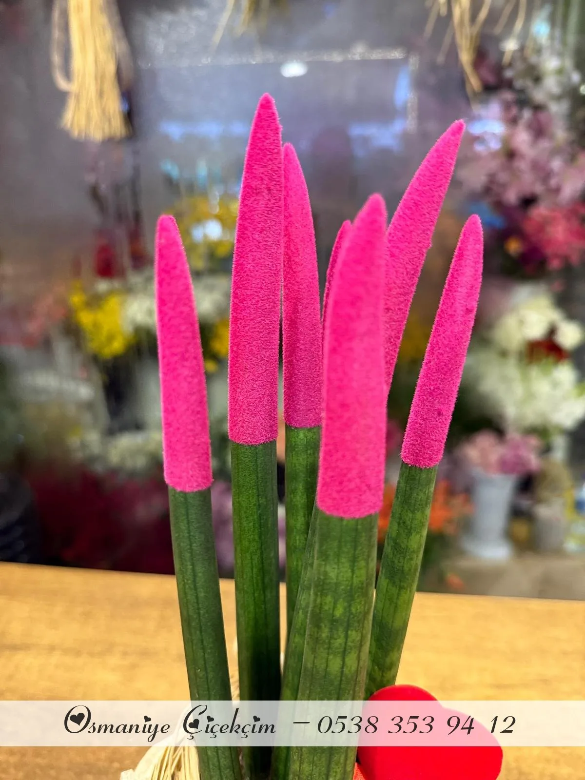 Sansevieria Floklu
