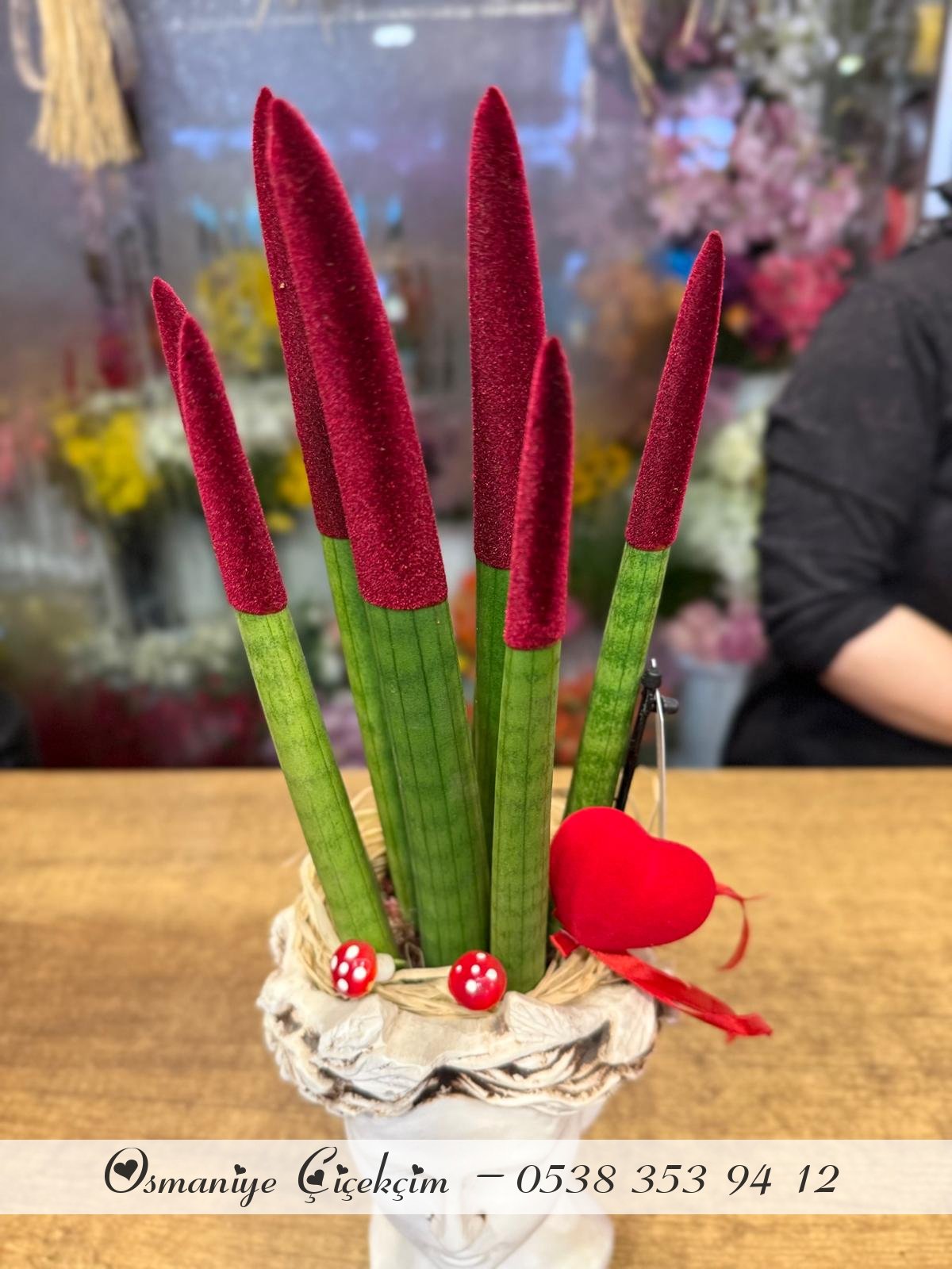 Sansevieria Floklu