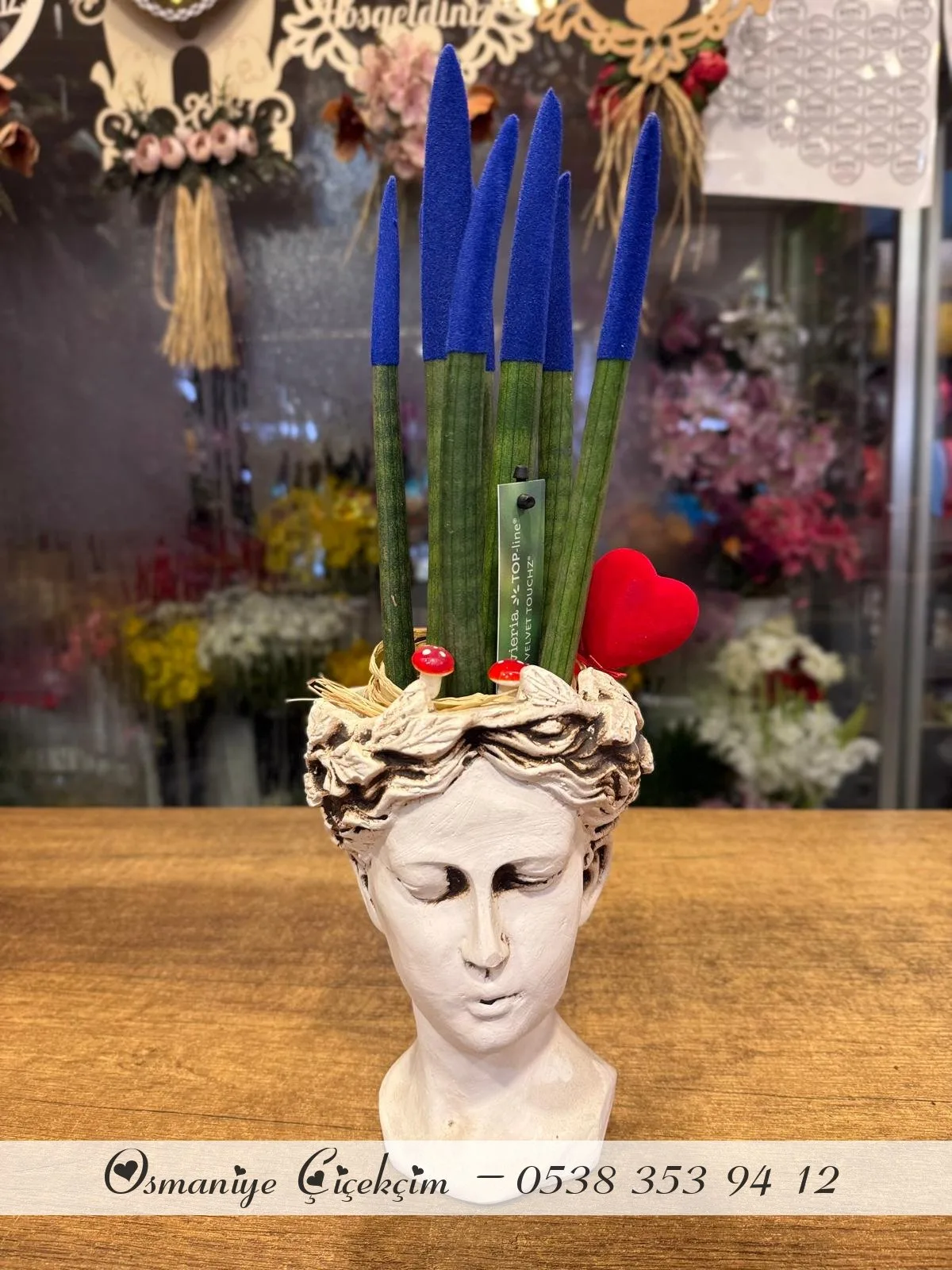 Sansevieria Floklu