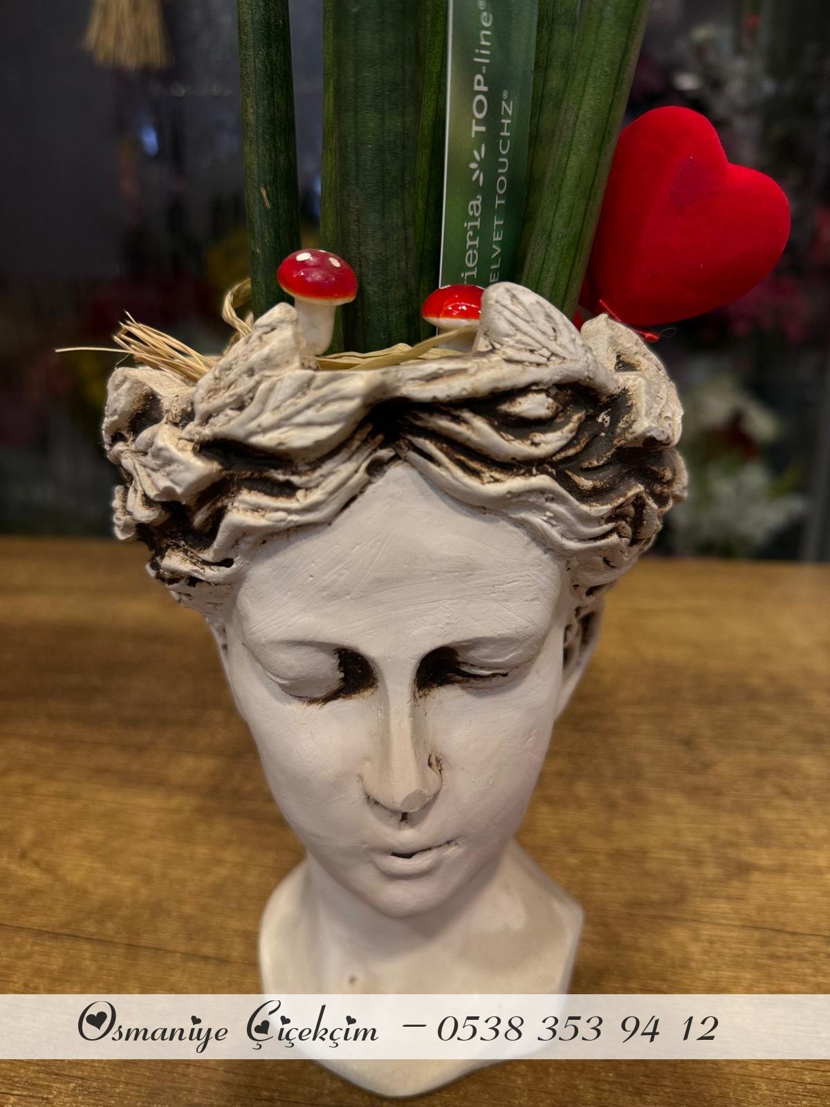 Sansevieria Floklu