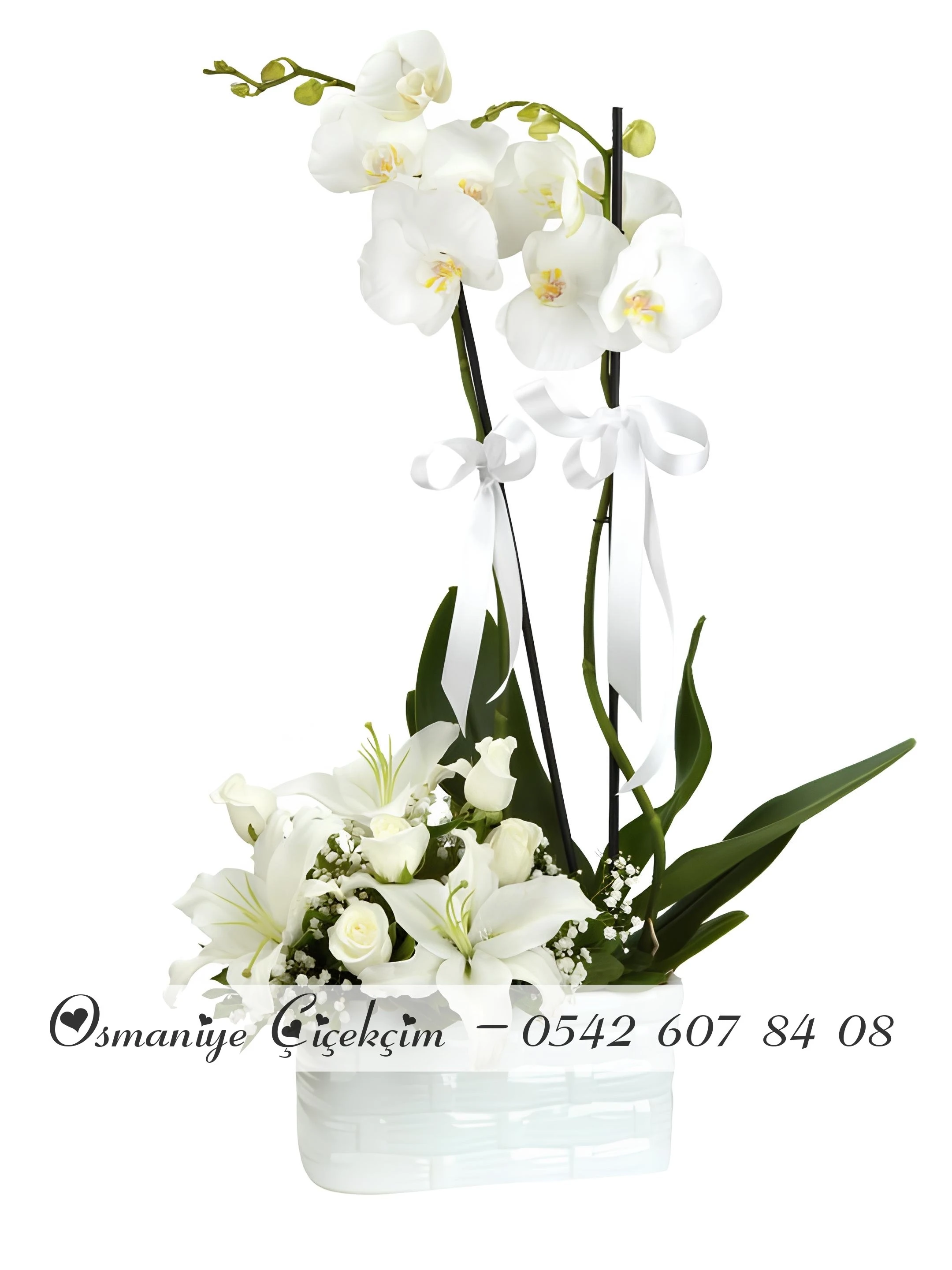 Seramikte Çift Dallı Beyaz Orkide