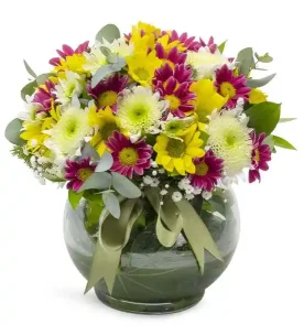 Cam Fanus Gökkuşağı Papatya Bahçesi