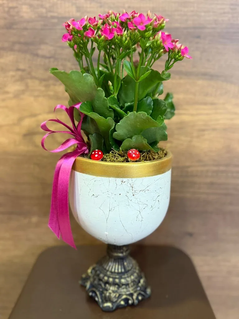 DEKORATİF AYAKLI BEYAZ SERAMİK İÇERİSİNDE PEMBE KALANCHOE