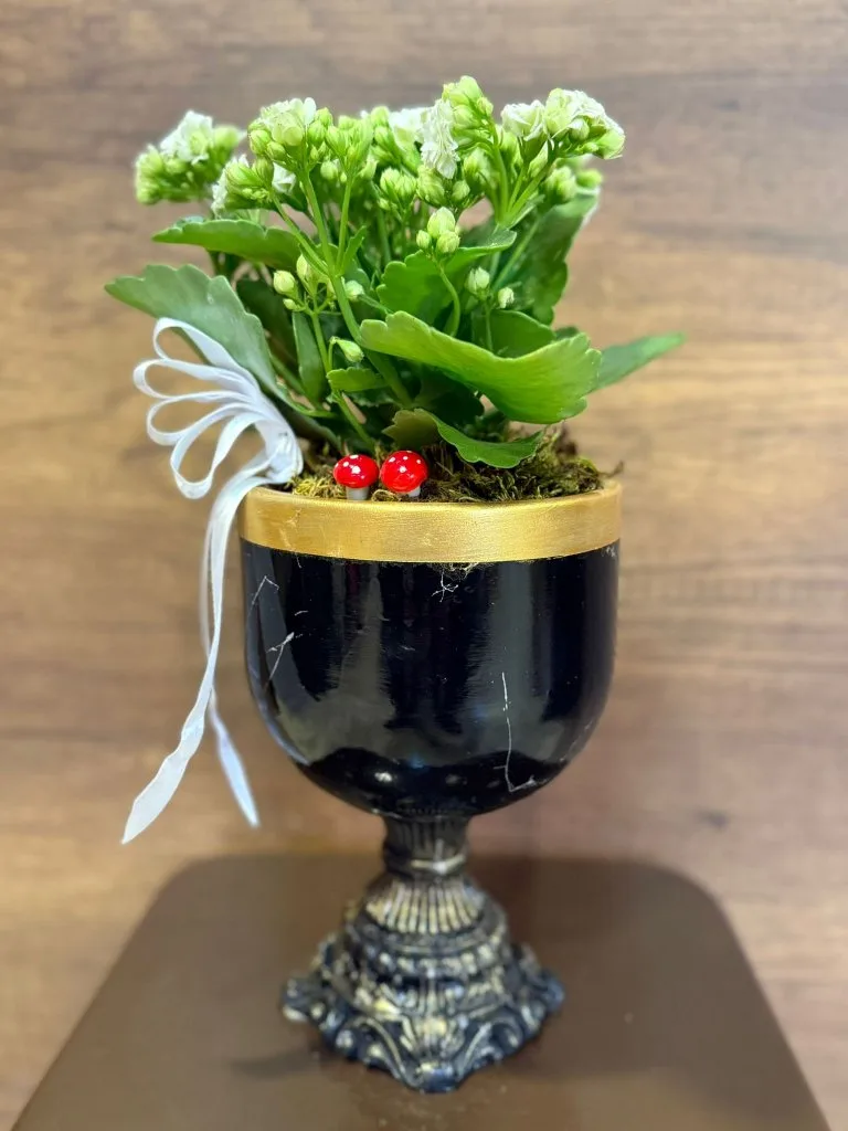 DEKORATİF AYAKLI SERAMİK İÇERİSİNDE BEYAZ KALANCHOE