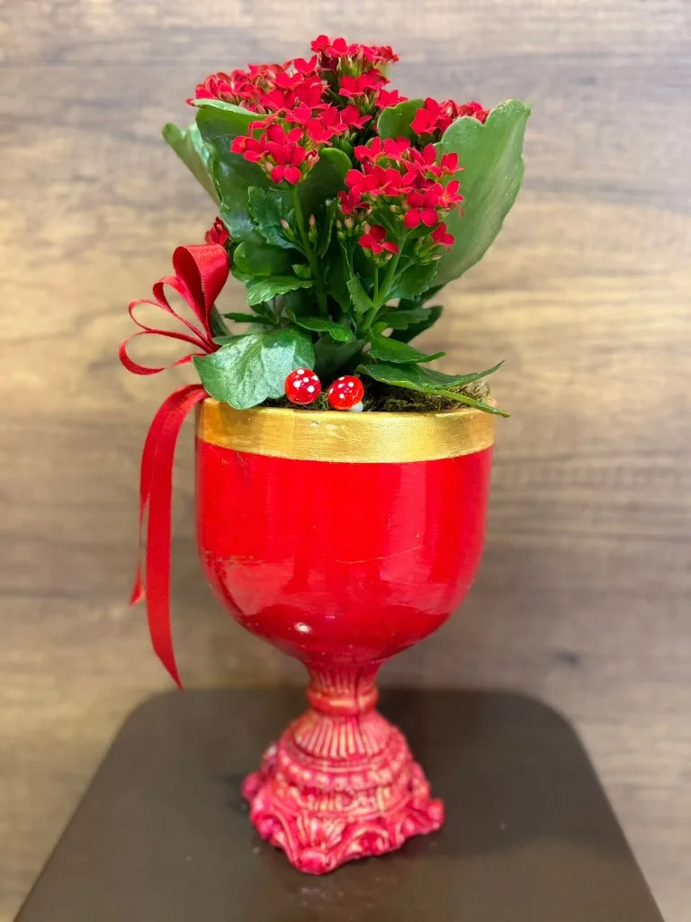 DEKORATİF AYAKLI SERAMİK İÇERİSİNDE KIRMIZI KALANCHOE