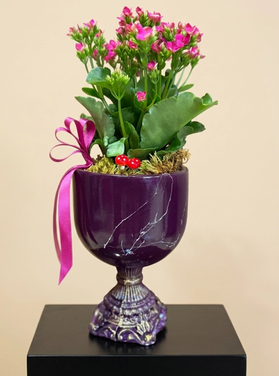 DEKORATİF AYAKLI SERAMİK İÇERİSİNDE PEMBE KALANCHOE