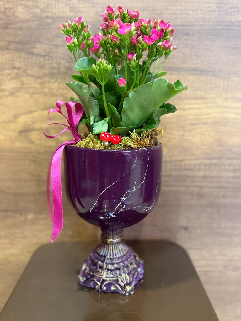 DEKORATİF AYAKLI SERAMİK İÇERİSİNDE PEMBE KALANCHOE