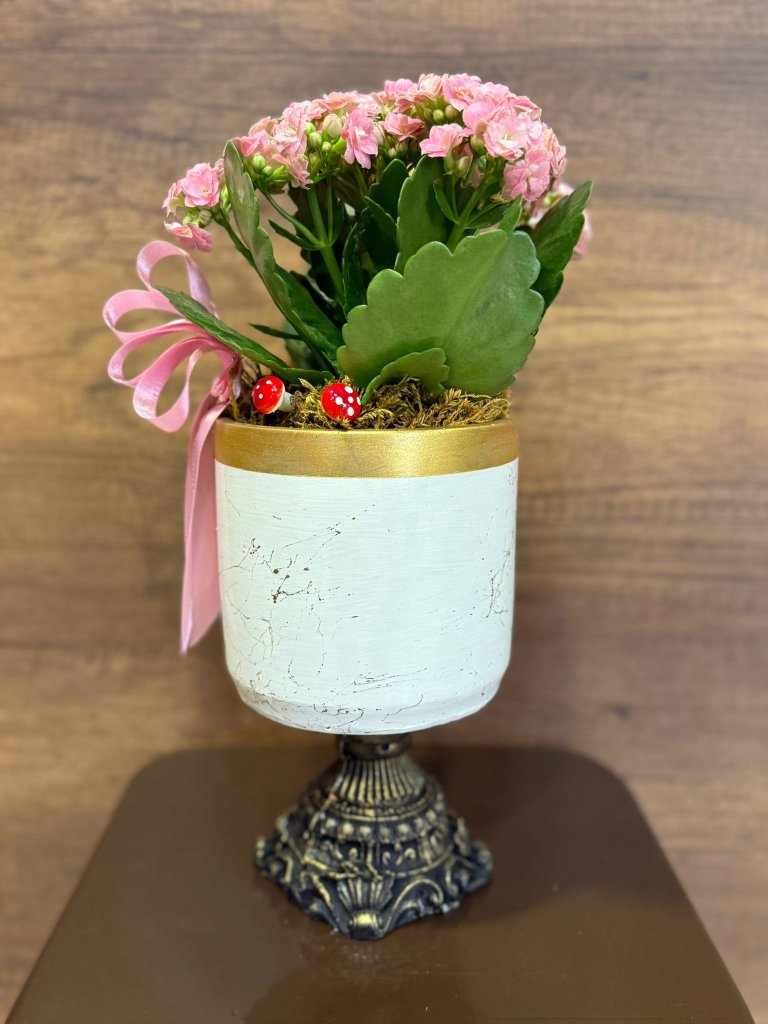 DEKORATİF AYAKLI SERAMİK İÇERİSİNDE PEMBE KALANCHOE