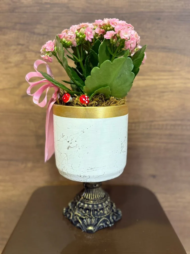 DEKORATİF AYAKLI SERAMİK İÇERİSİNDE PEMBE KALANCHOE