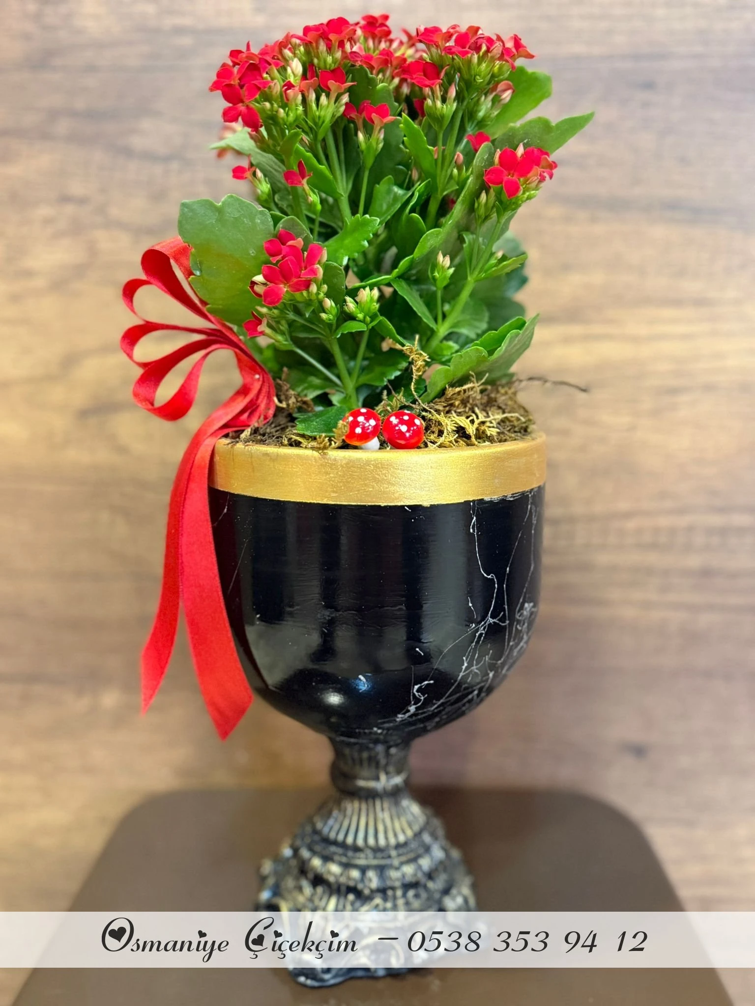 DEKORATİF AYAKLI SİYAH SERAMİK İÇERİSİNDE KIRMIZI KALANCHOE