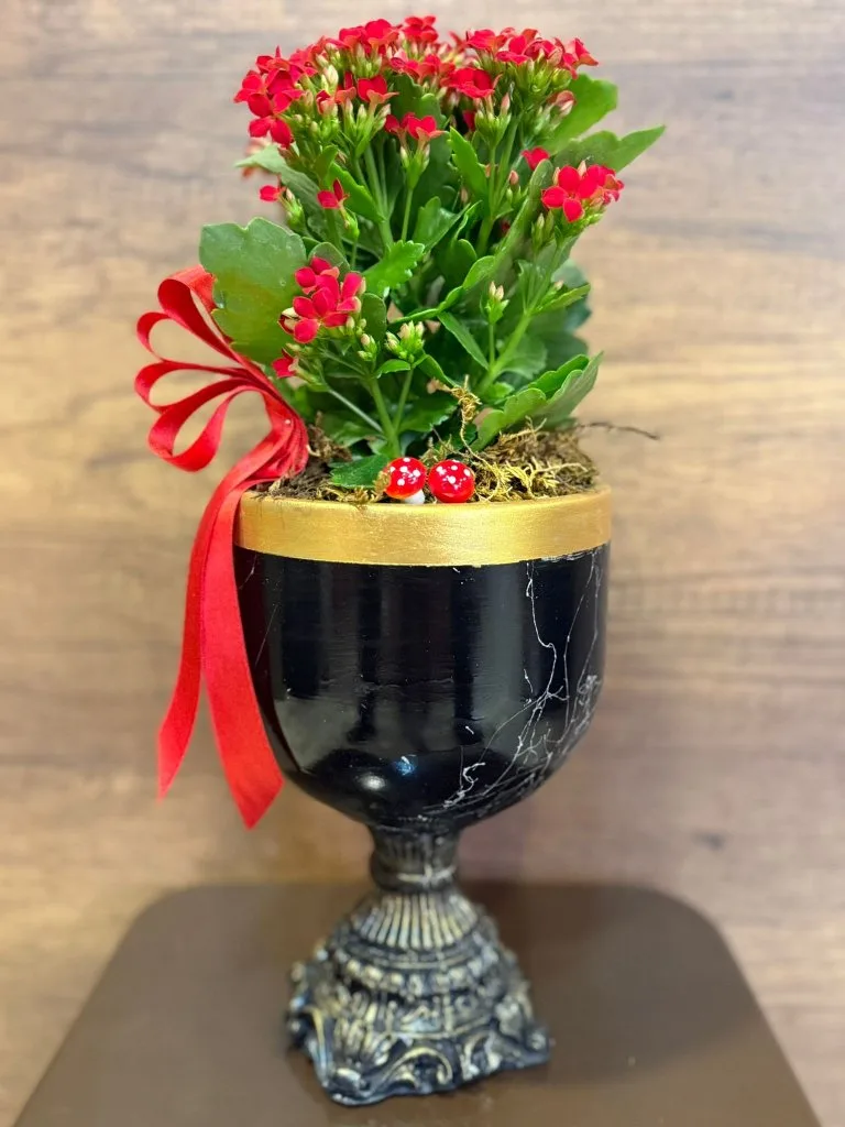 DEKORATİF AYAKLI SİYAH SERAMİK İÇERİSİNDE KIRMIZI KALANCHOE