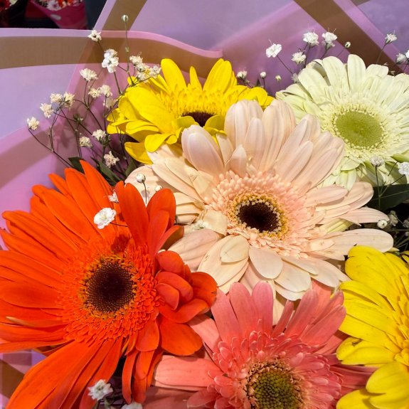 Renkli Gerbara Buketi
