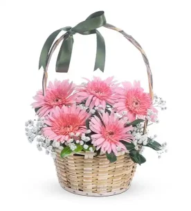 Sempatik Aşk 5 Pembe Gerbera Çiçek Sepeti