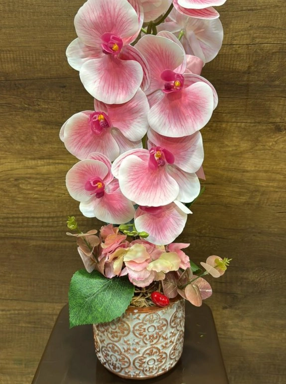 Yapay Saksıda Orkide