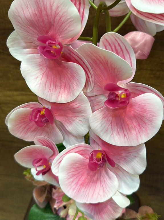 Yapay Saksıda Orkide