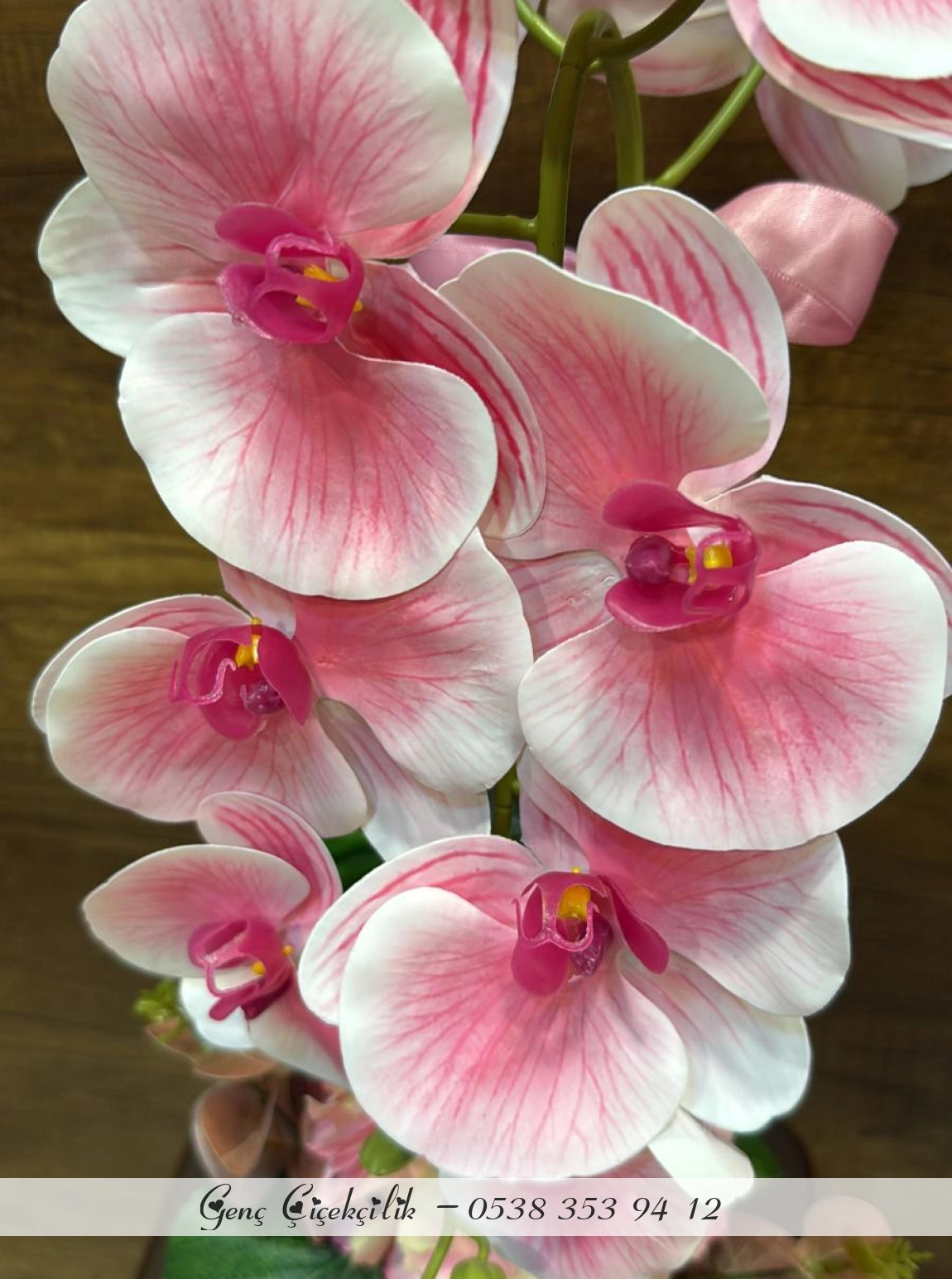 Yapay Saksıda Orkide