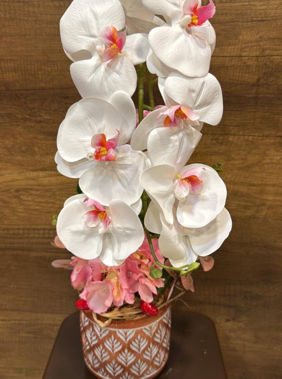 Yapay Saksıda Orkide