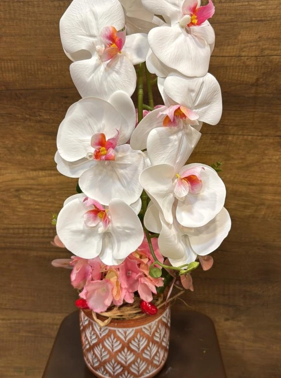 Yapay Saksıda Orkide