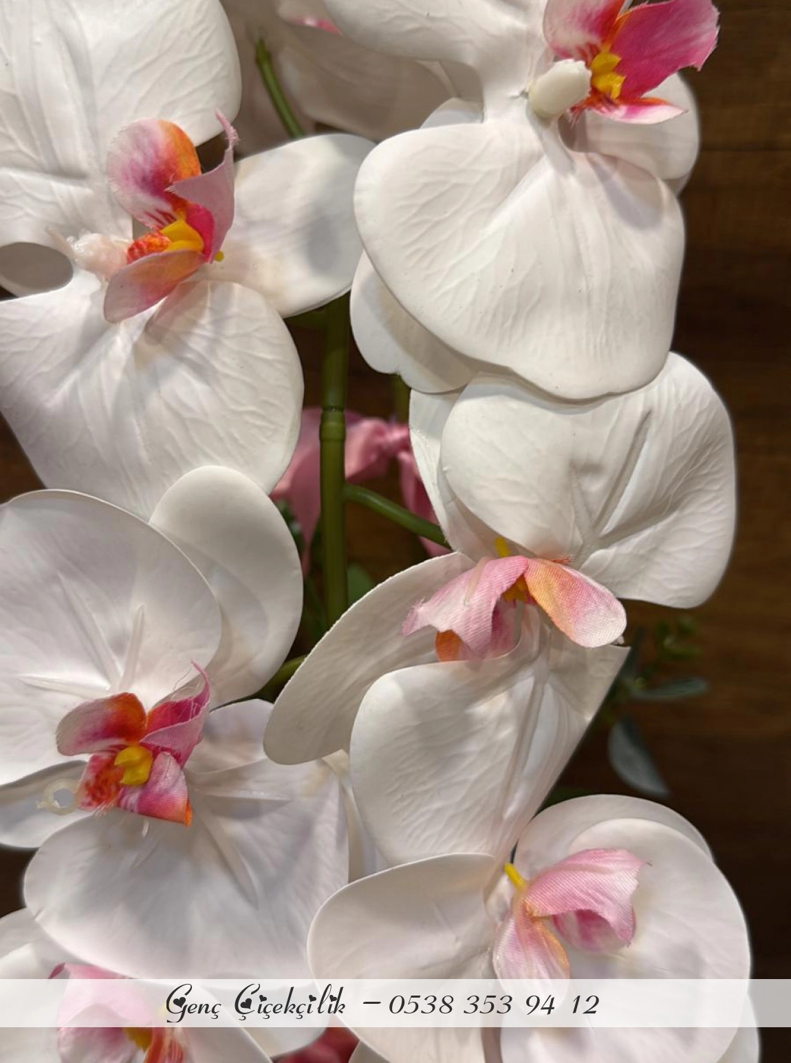 Yapay Saksıda Orkide