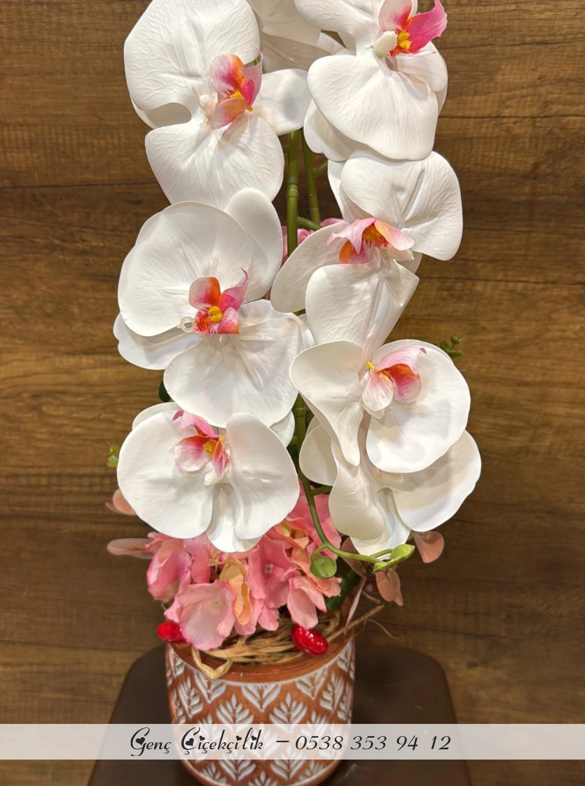Yapay Saksıda Orkide